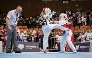 Puchar Świata Karate Kyokushin IKO Katowice 2024 (13)