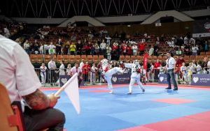 Puchar Świata Karate Kyokushin IKO Katowice 2024 (3)