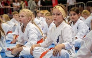 Puchar Świata Karate Kyokushin IKO Katowice 2024 (17)