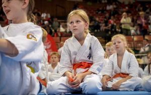 Puchar Świata Karate Kyokushin IKO Katowice 2024 (16)