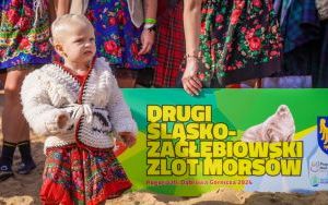 Drugi Śląsko-Zagłębiowski Zlot Morsów w Dąbrowie Górniczej  (1)