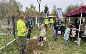 Drzewa Młodych Ligocian zasadzone! Akcja sadzenia drzew w Dolinie Potoku Kokociniec (4)