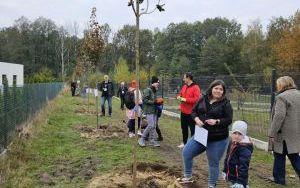 Drzewa Młodych Ligocian zasadzone! Akcja sadzenia drzew w Dolinie Potoku Kokociniec (7)