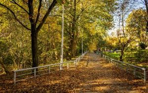 Park w Dolinie Ślepiotki w jesiennych kadrach (10)