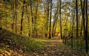 Park w Dolinie Ślepiotki w jesiennych kadrach (14)