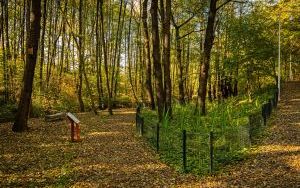 Park w Dolinie Ślepiotki w jesiennych kadrach (15)