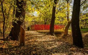 Park w Dolinie Ślepiotki w jesiennych kadrach (16)