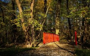 Park w Dolinie Ślepiotki w jesiennych kadrach (17)