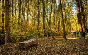 Park w Dolinie Ślepiotki w jesiennych kadrach (18)