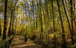 Park w Dolinie Ślepiotki w jesiennych kadrach (20)