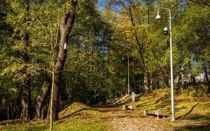 Park w Dolinie Ślepiotki w jesiennych kadrach (1)