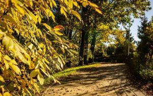 Park w Dolinie Ślepiotki w jesiennych kadrach (4)