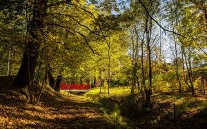 Park w Dolinie Ślepiotki w jesiennych kadrach (9)