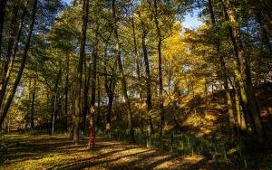 Park w Dolinie Ślepiotki w jesiennych kadrach (12)