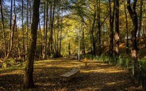 Park w Dolinie Ślepiotki w jesiennych kadrach (13)