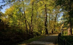 Park w Dolinie Ślepiotki w jesiennych kadrach (15)