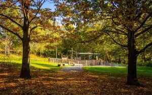 Park w Dolinie Ślepiotki w jesiennych kadrach (3)