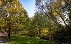 Park w Dolinie Ślepiotki w jesiennych kadrach (4)