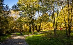 Park w Dolinie Ślepiotki w jesiennych kadrach (5)