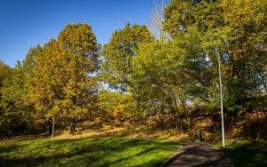 Park w Dolinie Ślepiotki w jesiennych kadrach (7)