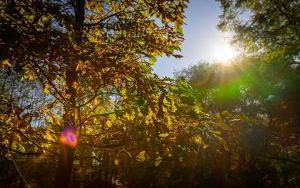 Park w Dolinie Ślepiotki w jesiennych kadrach (9)