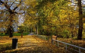 Park w Dolinie Ślepiotki w jesiennych kadrach (11)