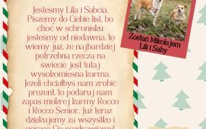 Świąteczna paka dla katowickiego psiaka - listy od piesków (10)