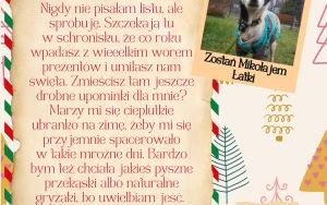 Świąteczna paka dla katowickiego psiaka - listy od piesków (11)