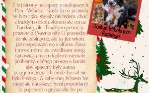 Świąteczna paka dla katowickiego psiaka - listy od piesków (19)