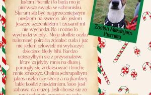 Świąteczna paka dla katowickiego psiaka - listy od piesków (3)