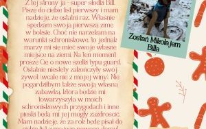 Świąteczna paka dla katowickiego psiaka - listy od piesków (3)