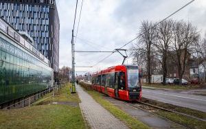 Torowisko tramwajowe na Wełnowcu (grudzień 2024) (3)