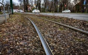 Torowisko tramwajowe na Wełnowcu (grudzień 2024) (2)