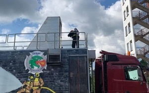 Szkolenie strażaków z Katowic. Wykorzystali specjalistyczny trenażer (3)