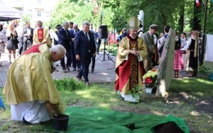Odsłonięcie pomnika w hołdzie Orląt Lwowskich i zasadzenie dębu papieskiego  (1)