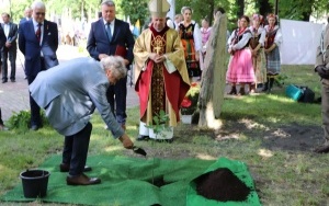 Odsłonięcie pomnika w hołdzie Orląt Lwowskich i zasadzenie dębu papieskiego  (4)