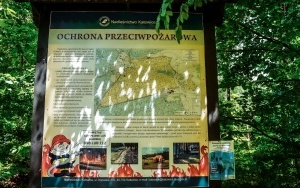 Wzgórze Wandy w Katowicach (9)