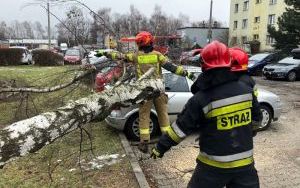 Strażacy usuwają skutki wichury (4)