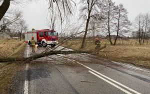 Strażacy usuwają skutki wichury (3)