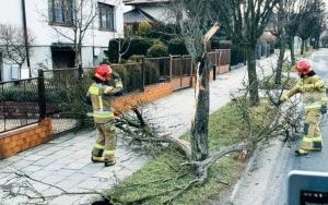 Strażacy usuwają skutki wichury (1)