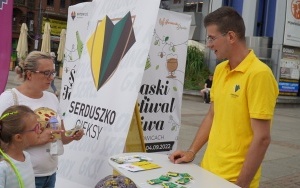 Piknik Siatkarski na rynku w Katowicach (19)