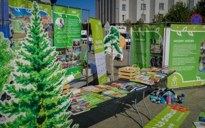 Akcja Książka za drzewo w Katowicach (14)