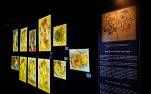 Wystawa dzieł Vincenta Van Gogha w Katowicach (8)