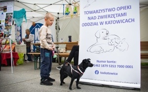 Festiwal Organizacji Pozarządowych w Katowicach (3)