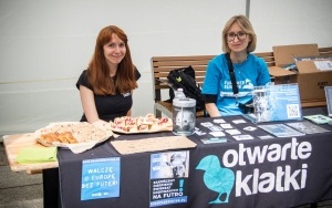 Festiwal Organizacji Pozarządowych w Katowicach (5)