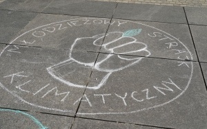 Protest Młodzieżowego Strajku Klimatycznego na rynku w Katowicach (4)