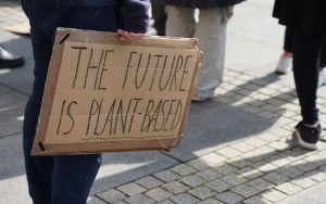 Protest Młodzieżowego Strajku Klimatycznego na rynku w Katowicach (15)