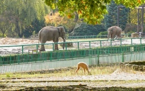 Wizyta w śląskim zoo  (3)