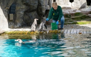 Wizyta w śląskim zoo  (12)