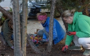 Zielony wolontariat przed Kinem Kosmos w Katowicach (9)